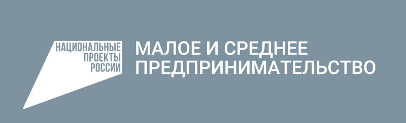 В Мордовии самозанятые получают услуги в рамках нацпроекта В Мордовии самозанятые получают услуги в рамках нацпроекта