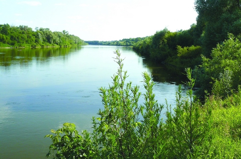 В Мордовии стартовала программа детского туристического кешбэка