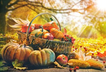 26 октября 2019 года в Саранске состоится республиканская осенняя ярмарка